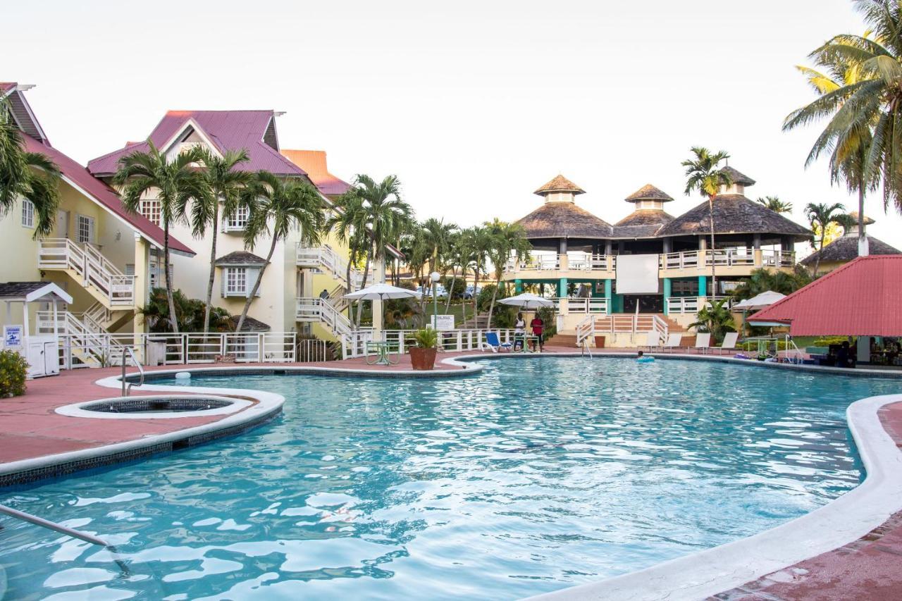 E 20 Mystic Ridge Ocho Rios Daire Dış mekan fotoğraf