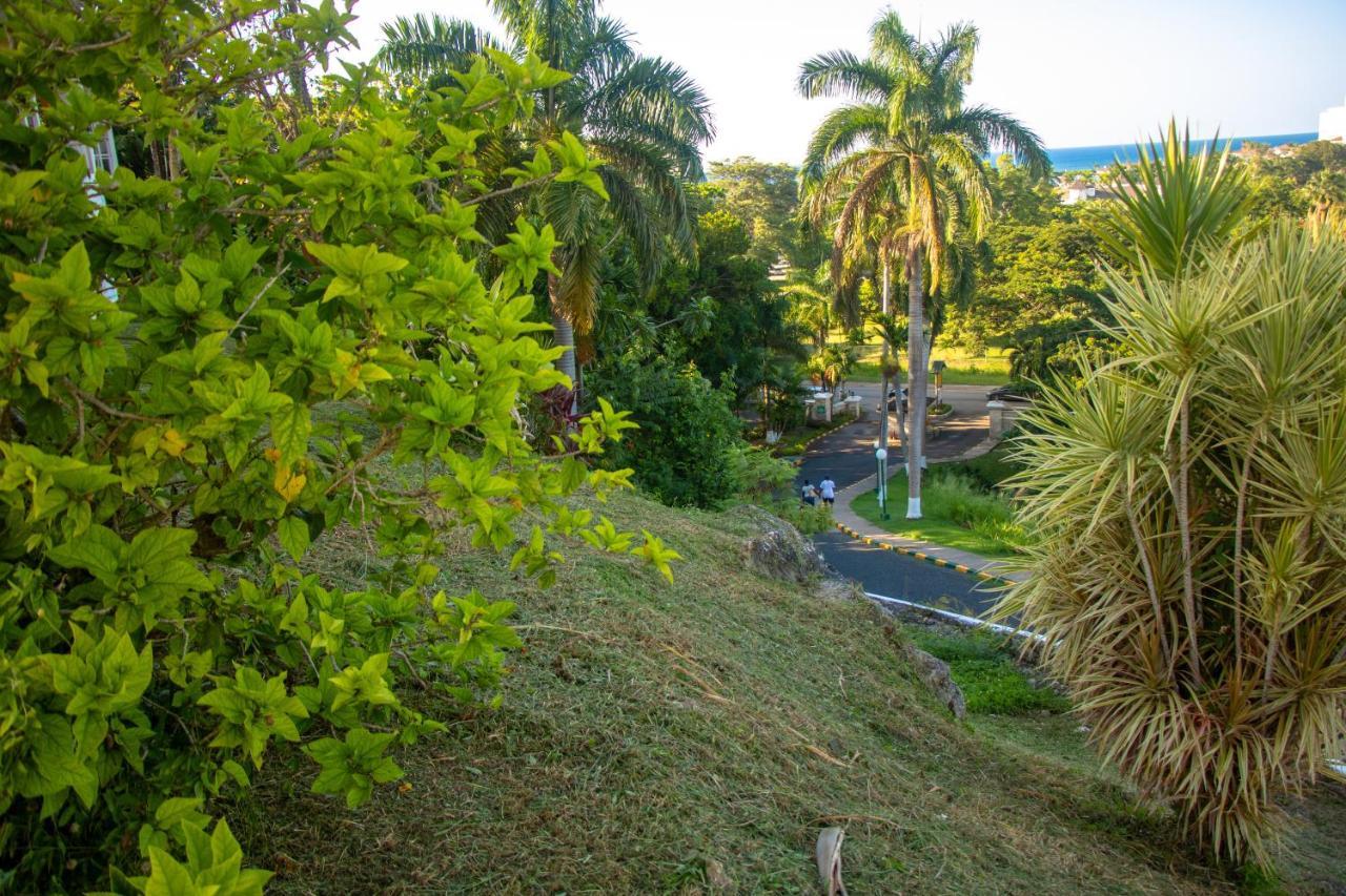 E 20 Mystic Ridge Ocho Rios Daire Dış mekan fotoğraf
